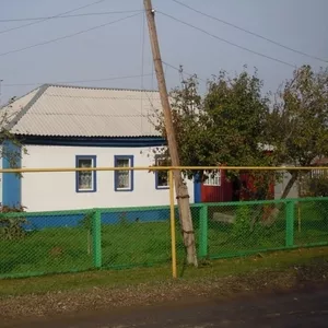 Дом с газом д.Шелухово